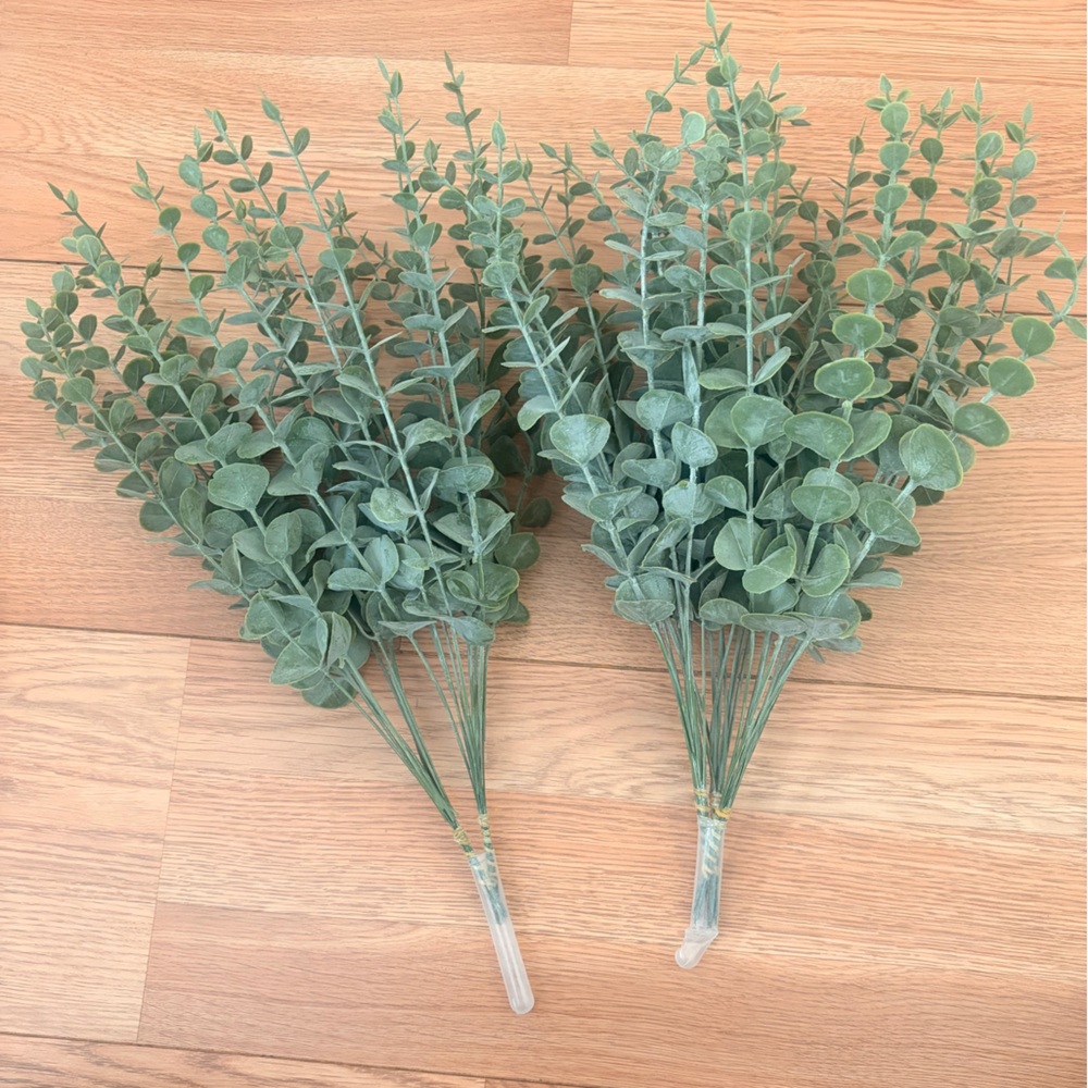 Green Eucalyptus Stems